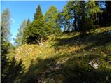 Konec ceste na Vogar - Planina Dedno Polje